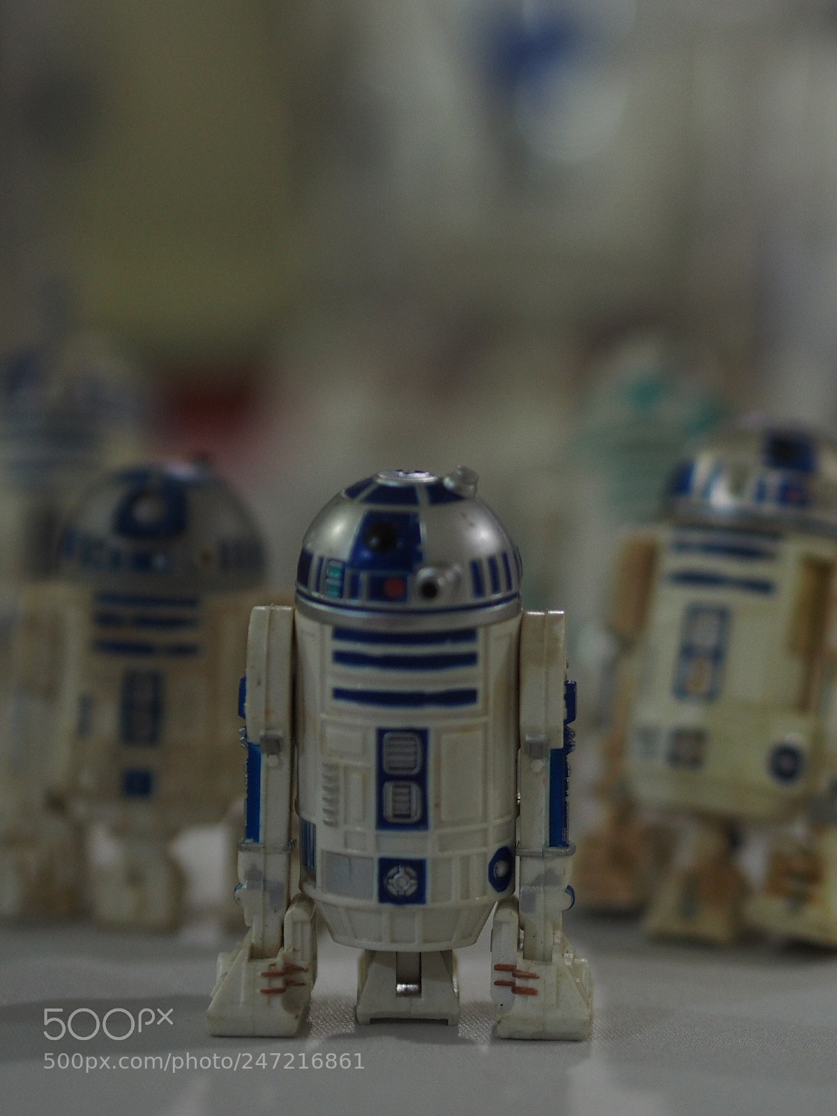 Olympus OM-D E-M1 sample photo. My followers. photography