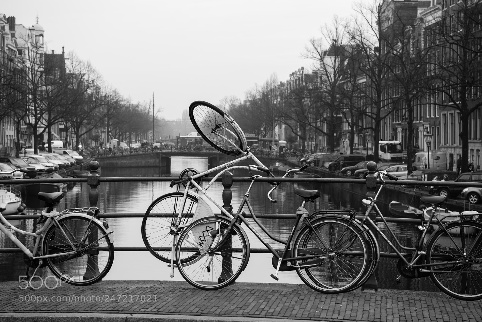 Nikon D800 sample photo. Bicycle photography