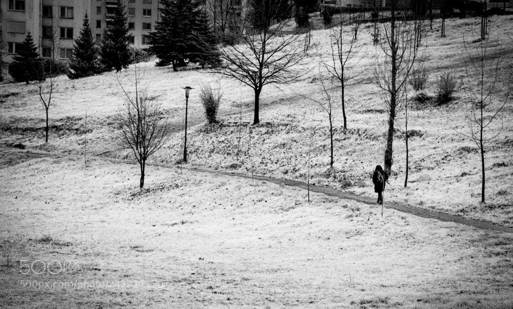 Nikon D3200 sample photo. Walker photography