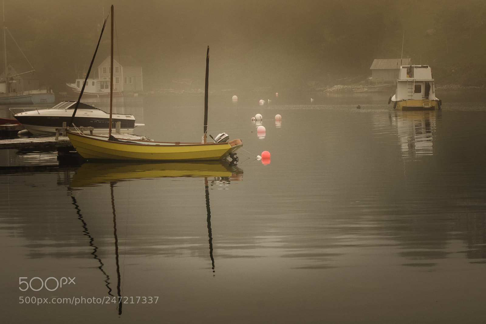 Nikon D300S sample photo. Misty morning photography
