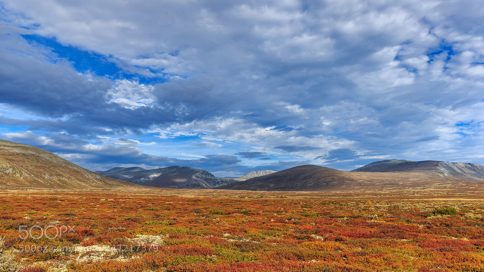 Canon EOS-1D X sample photo. Autumn in dovrefjell photography