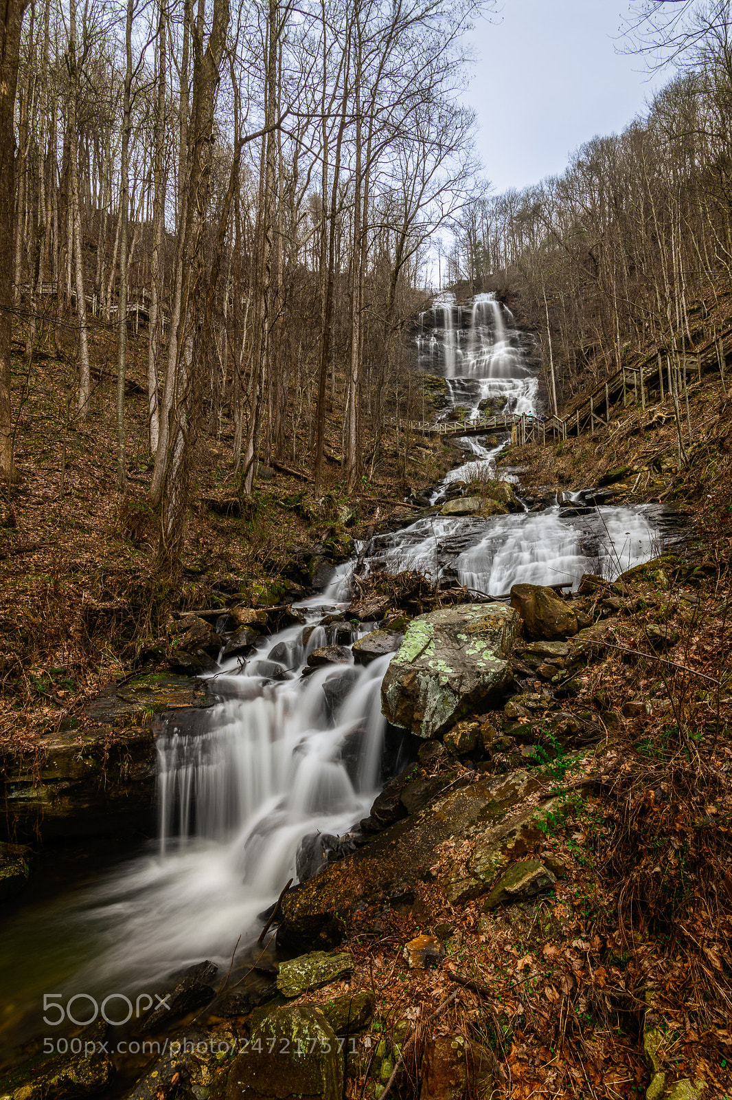 Nikon D850 sample photo. Amicalola falls in february photography