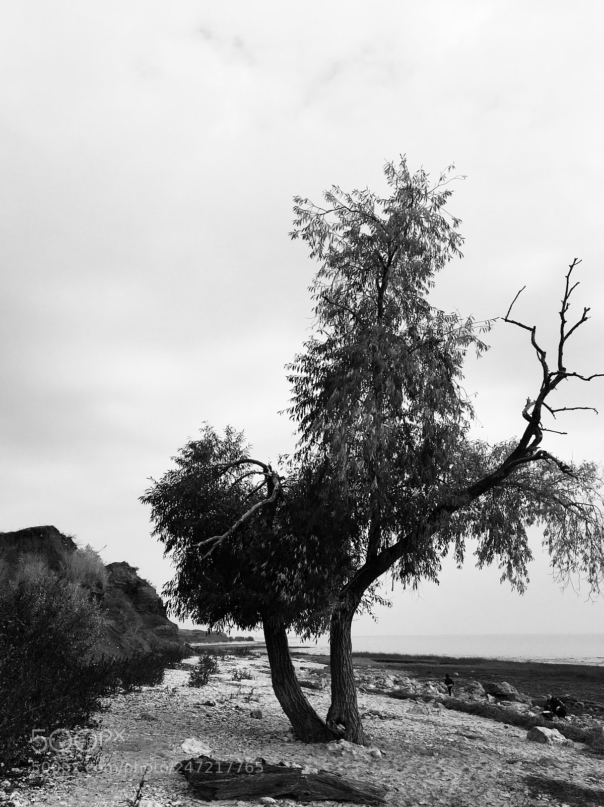 Apple iPhone 6s sample photo. Loneliness photography