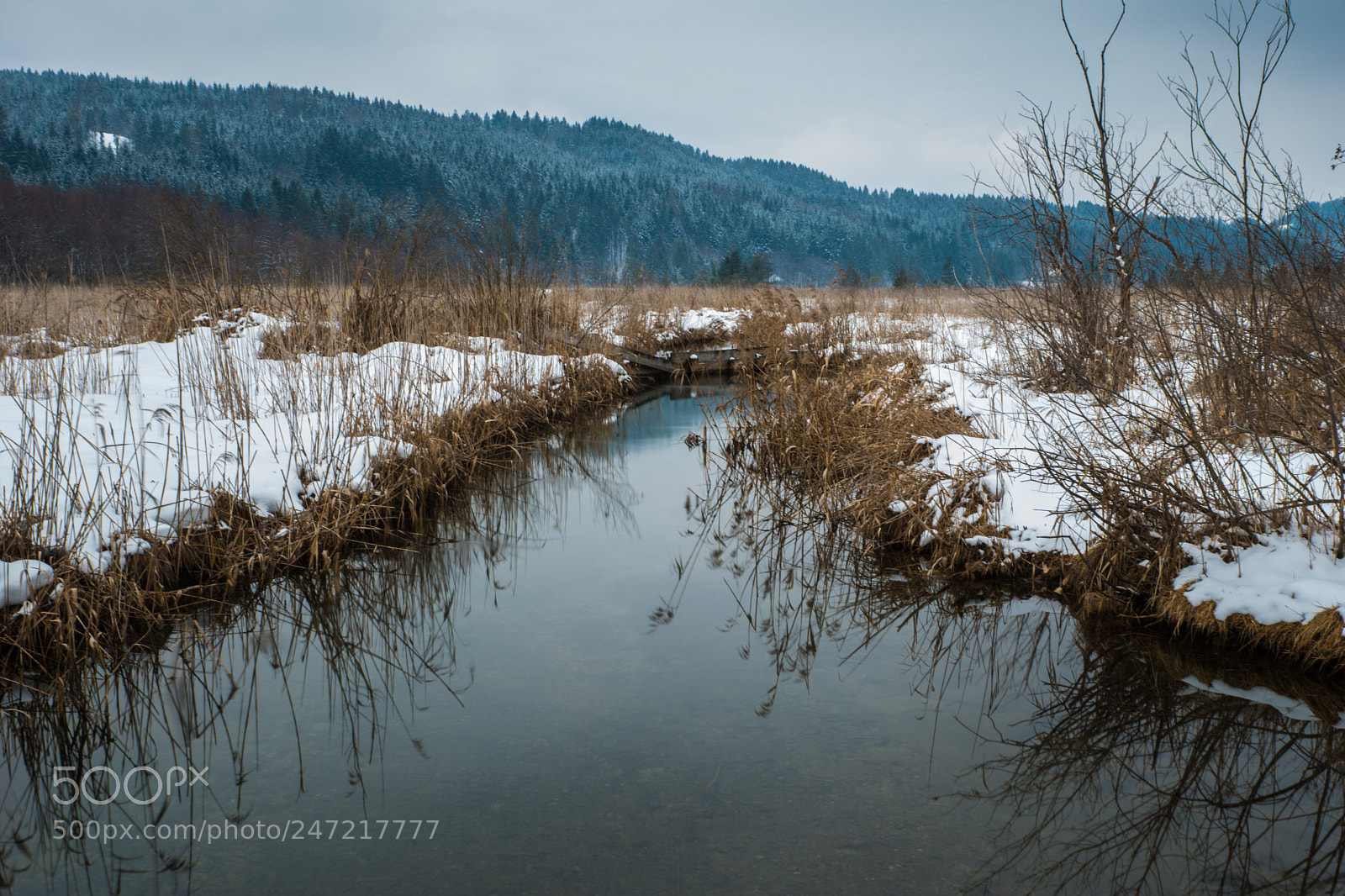 Sony ILCA-77M2 sample photo. Trostlos i photography