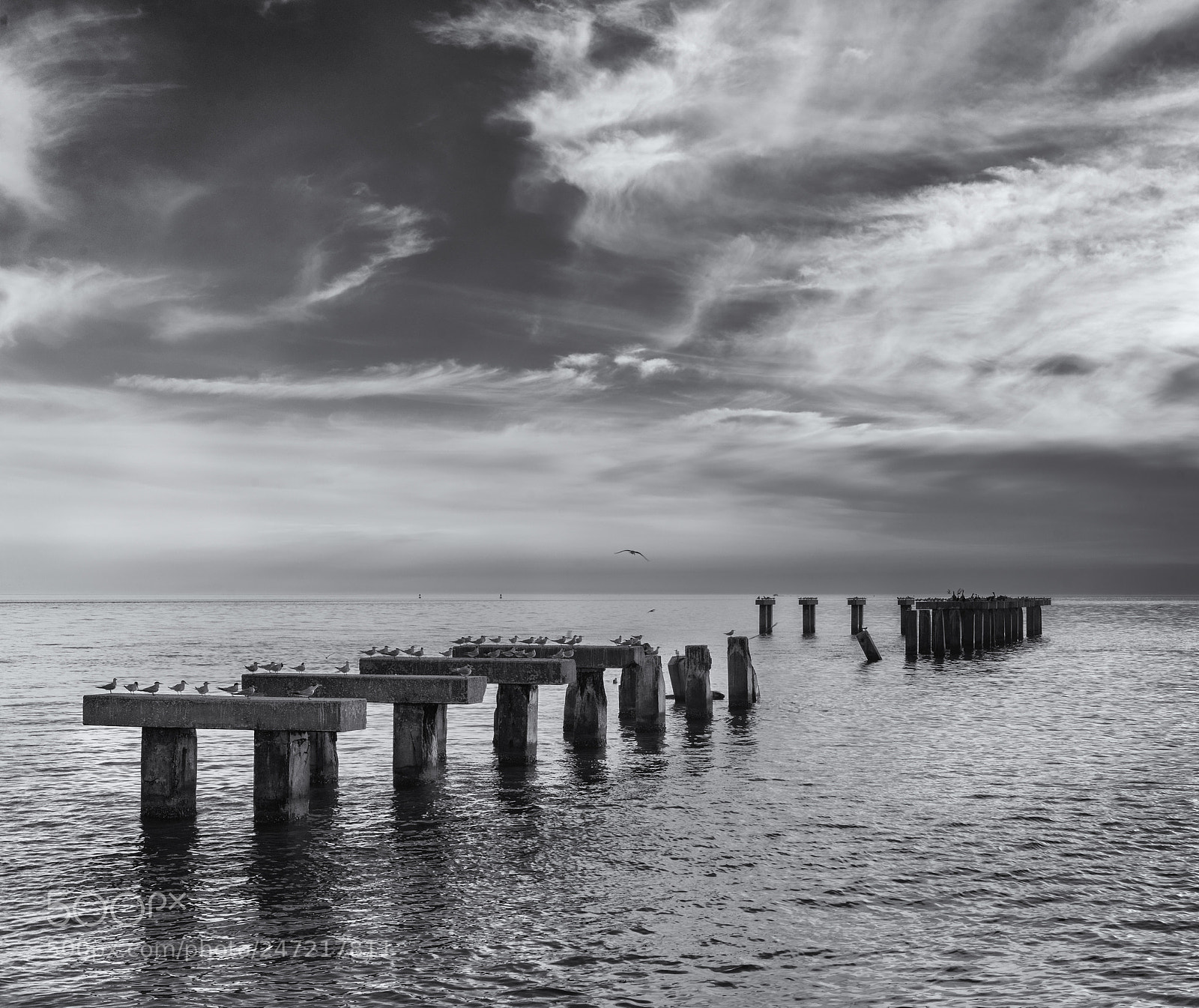 Hasselblad X1D-50c sample photo. Boca grande pier photography