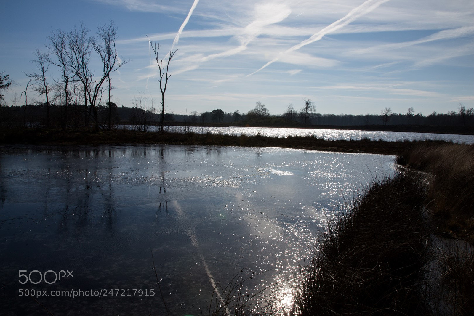 Canon EOS 700D (EOS Rebel T5i / EOS Kiss X7i) sample photo. Cold and windy photography