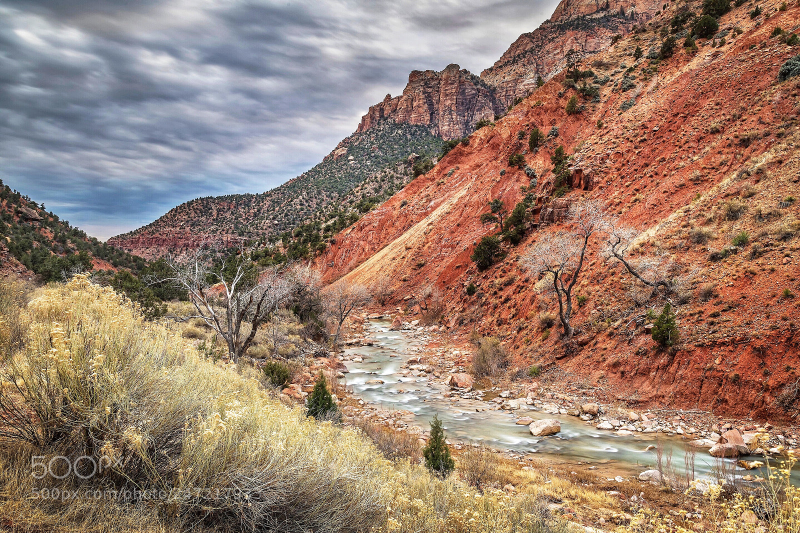 Nikon D850 sample photo. River and erosion, zion photography