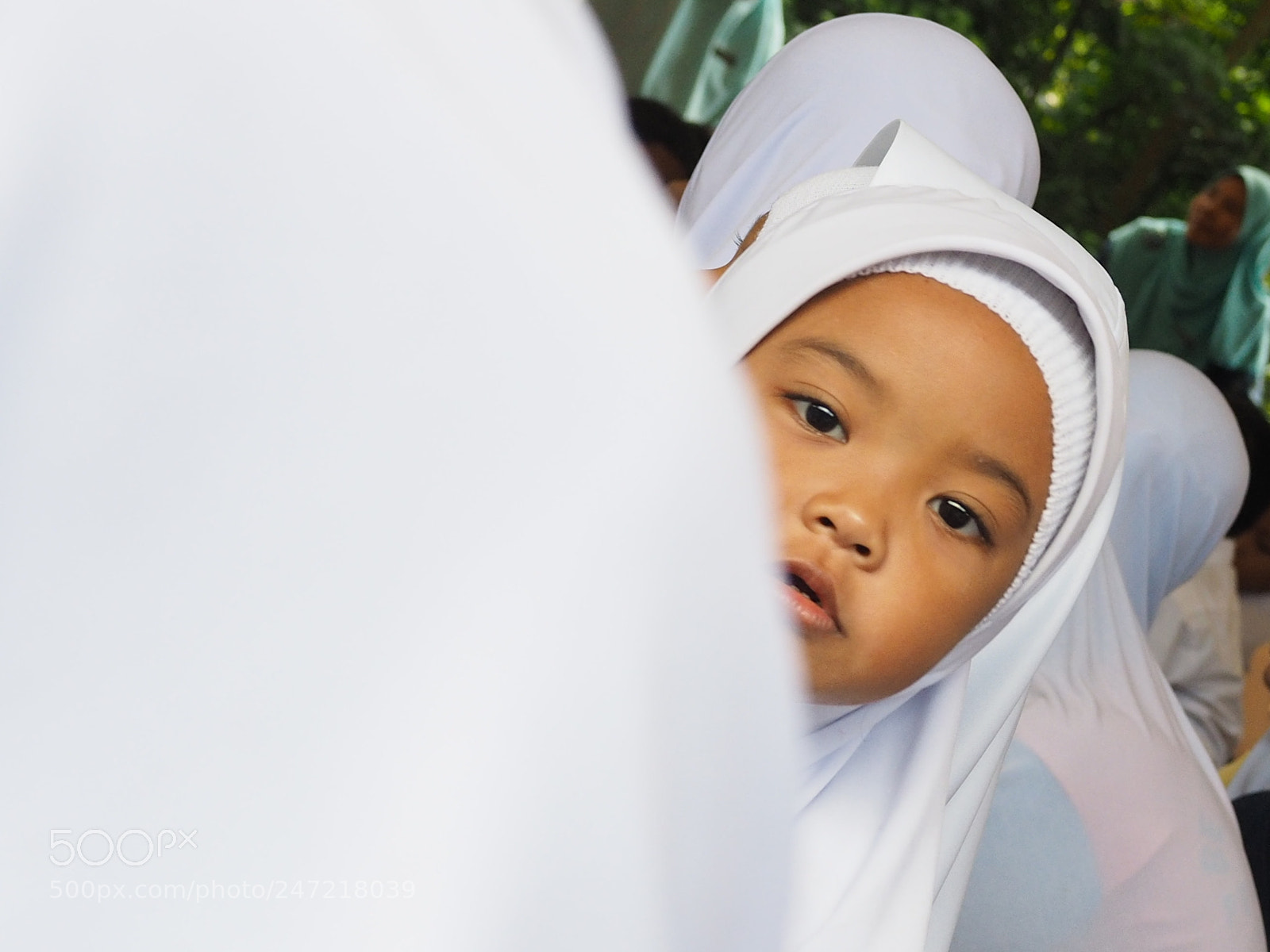Olympus OM-D E-M1 sample photo. Yes, sir? photography