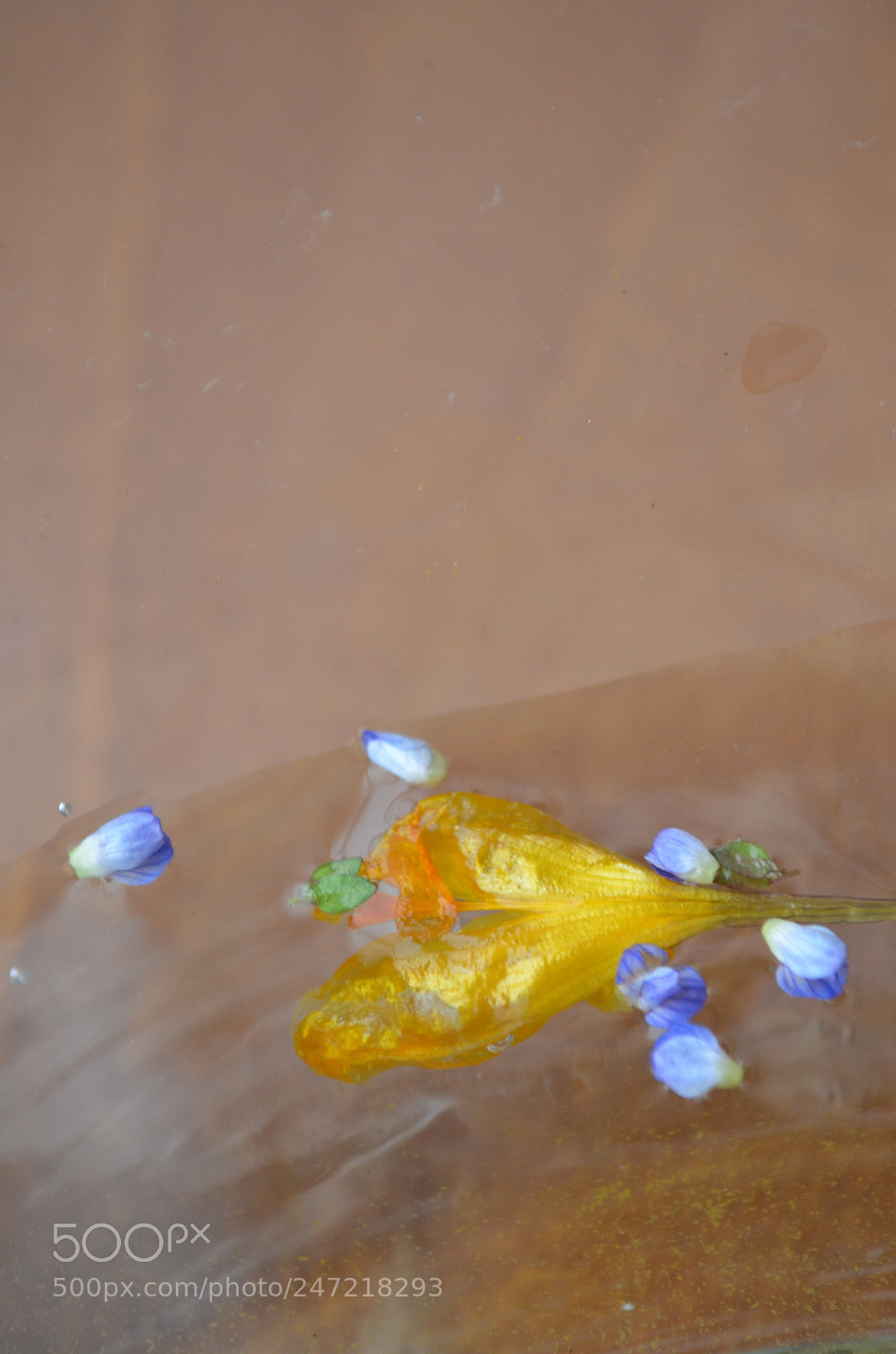 Nikon D5100 sample photo. In love photography