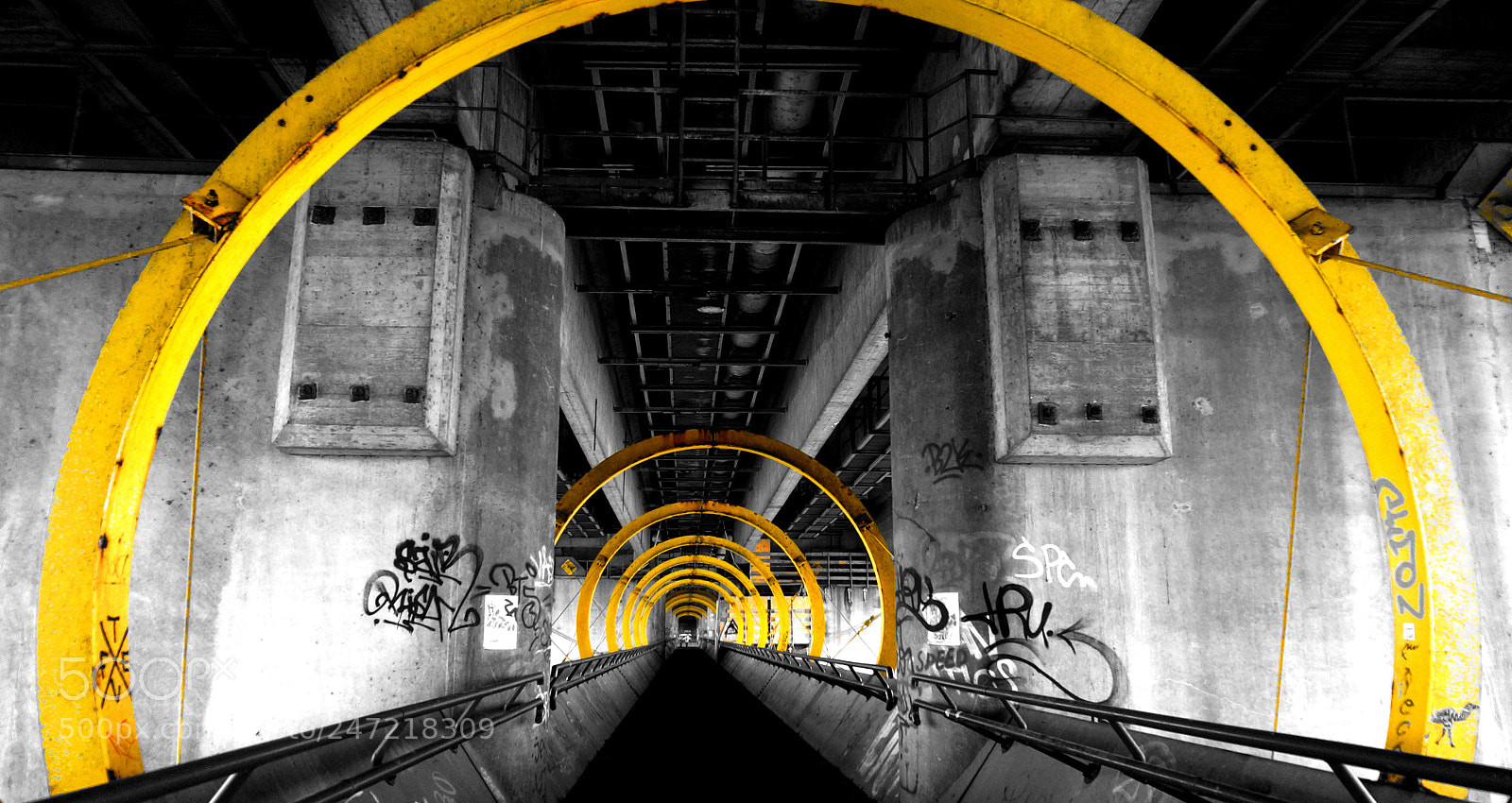Sony Alpha NEX-6 sample photo. Circle of cycling photography