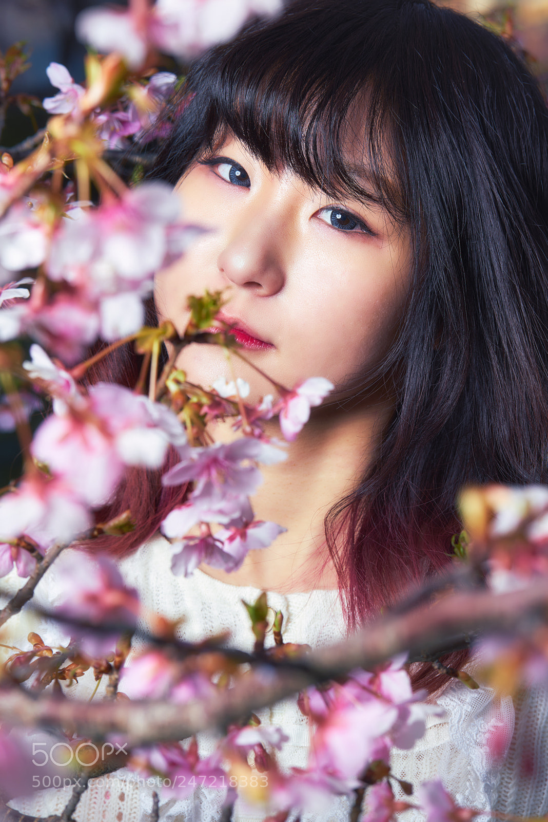 Sony a7R II sample photo. Sakura photography