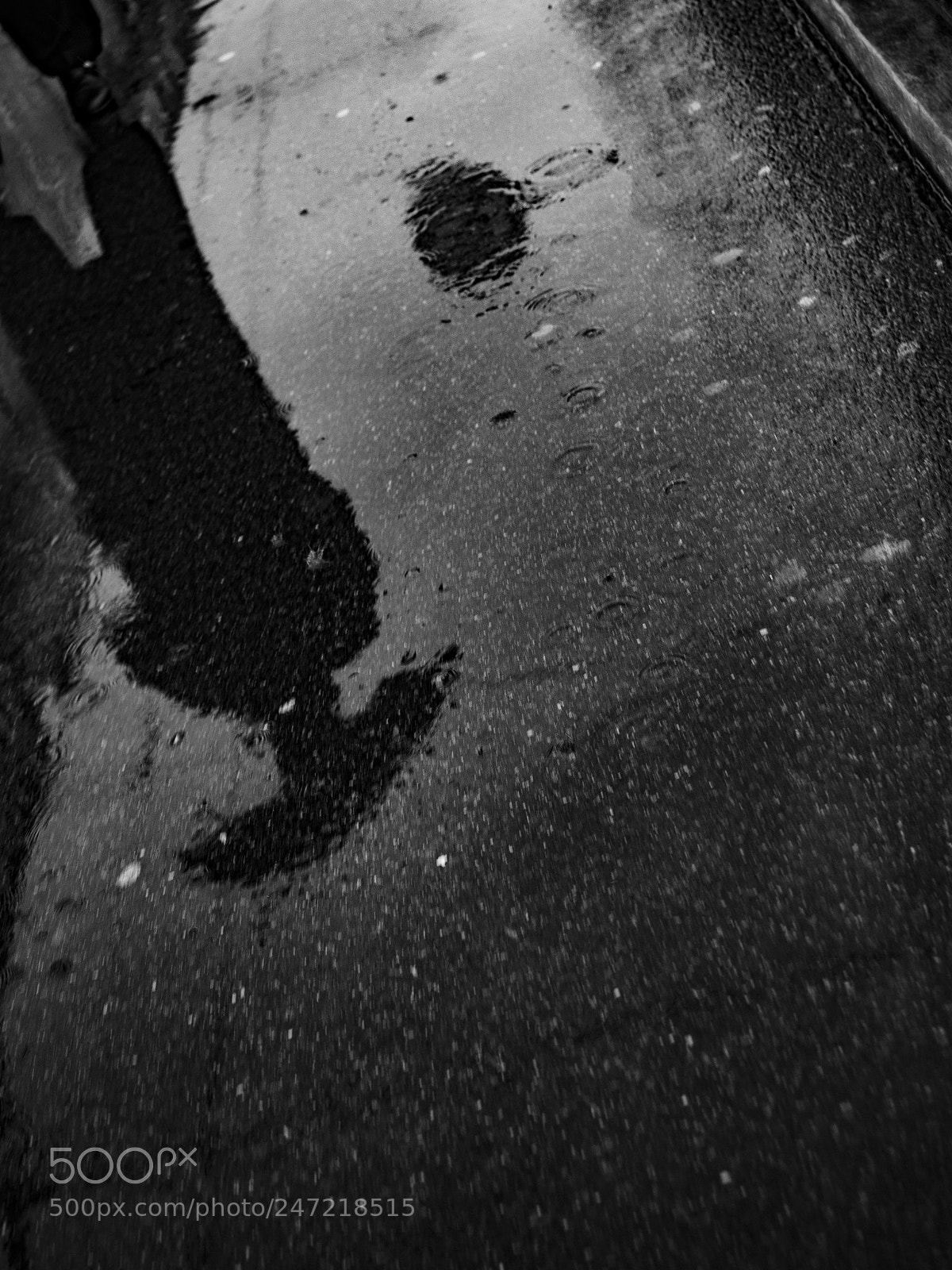 Olympus OM-D E-M1 Mark II sample photo. The mushroom man shadow photography