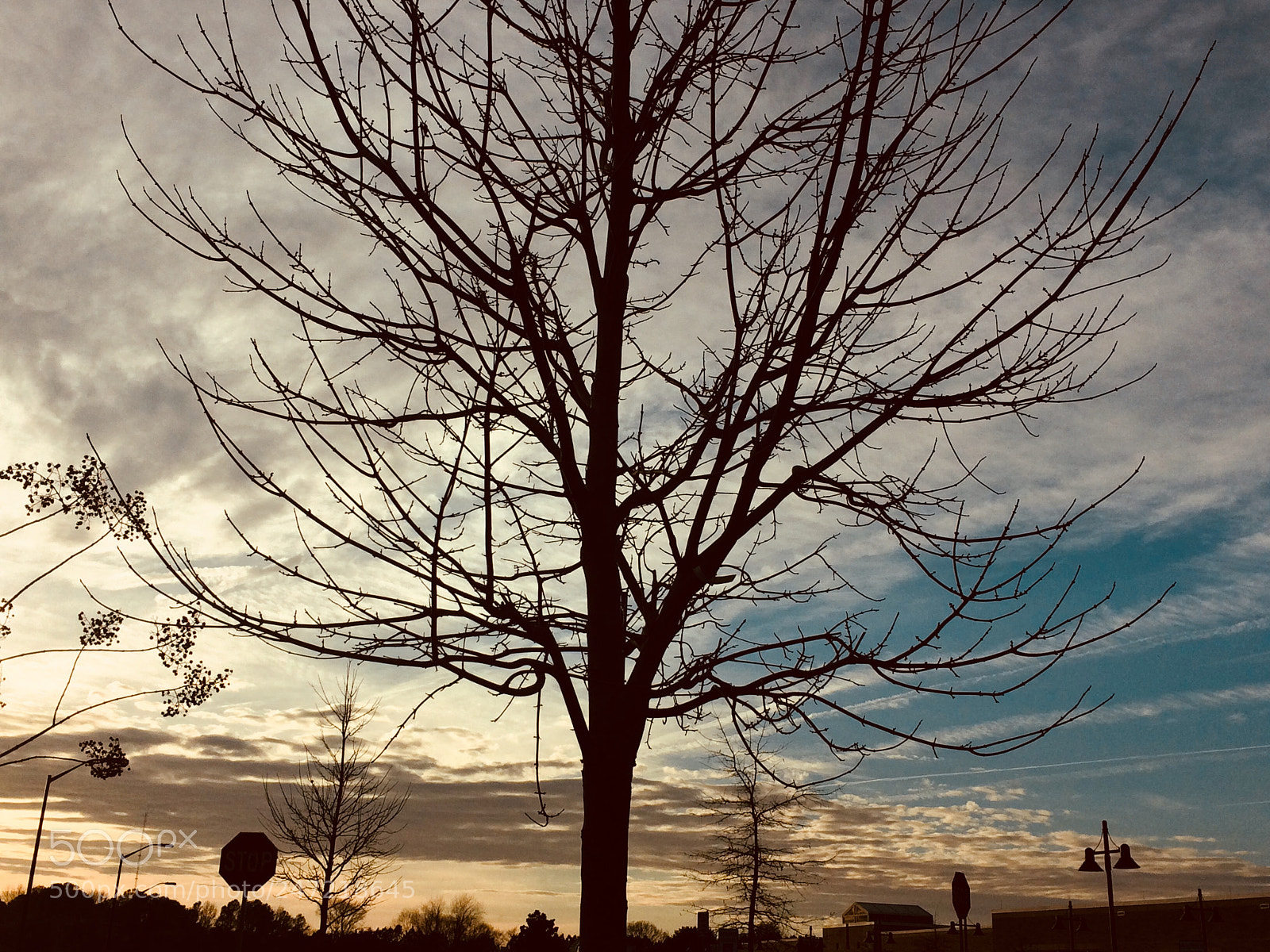 Apple iPhone 5s sample photo. Untitled photography