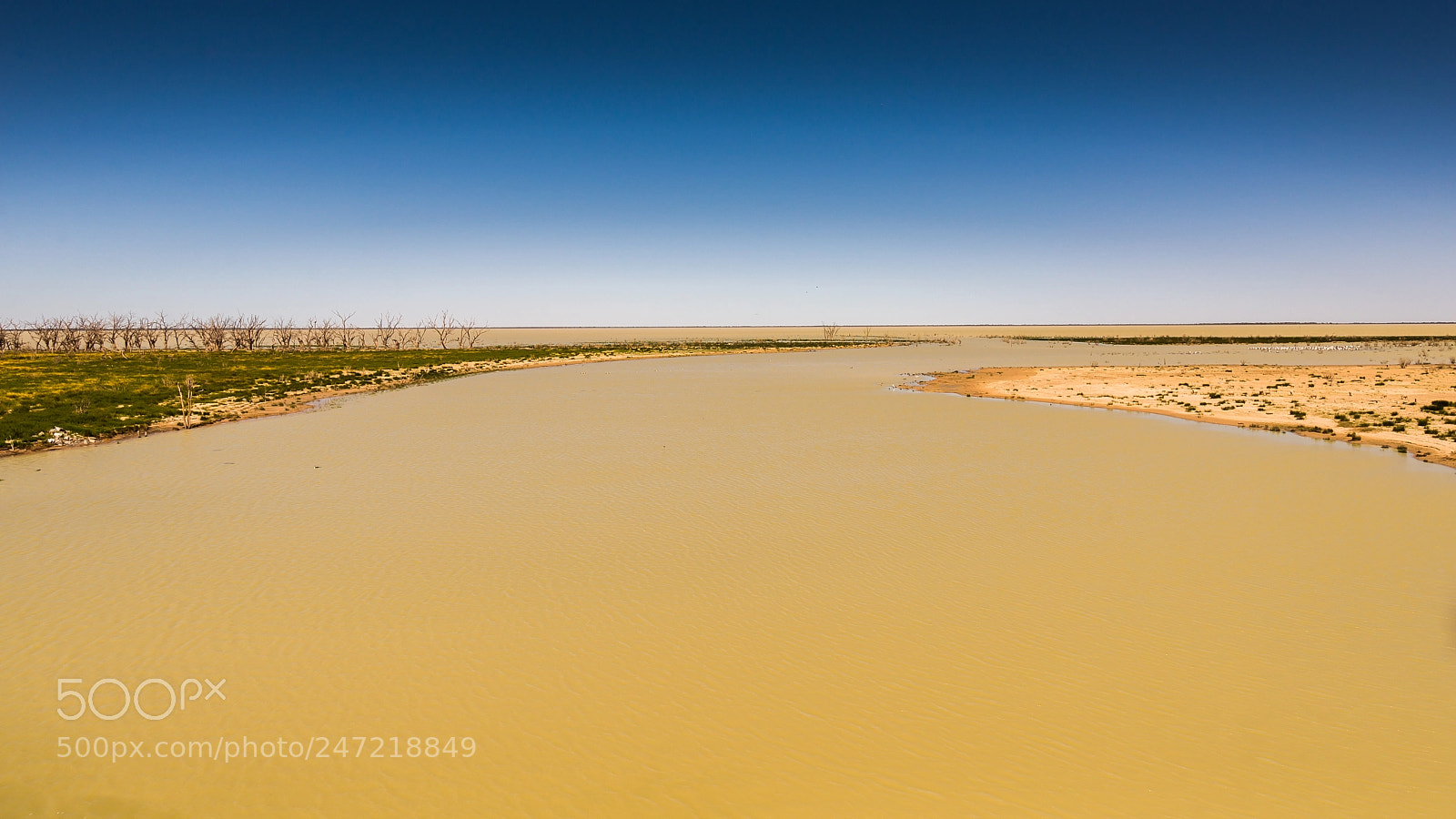 Nikon D610 sample photo. Lake menindee photography