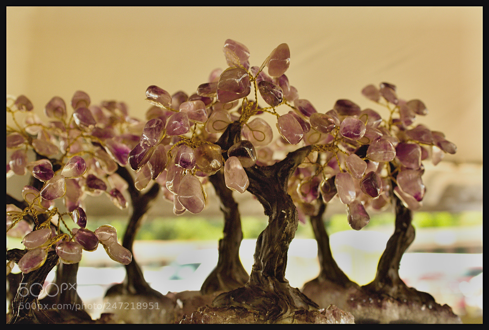 Canon EOS 1200D (EOS Rebel T5 / EOS Kiss X70 / EOS Hi) sample photo. Crooked tree gems photography