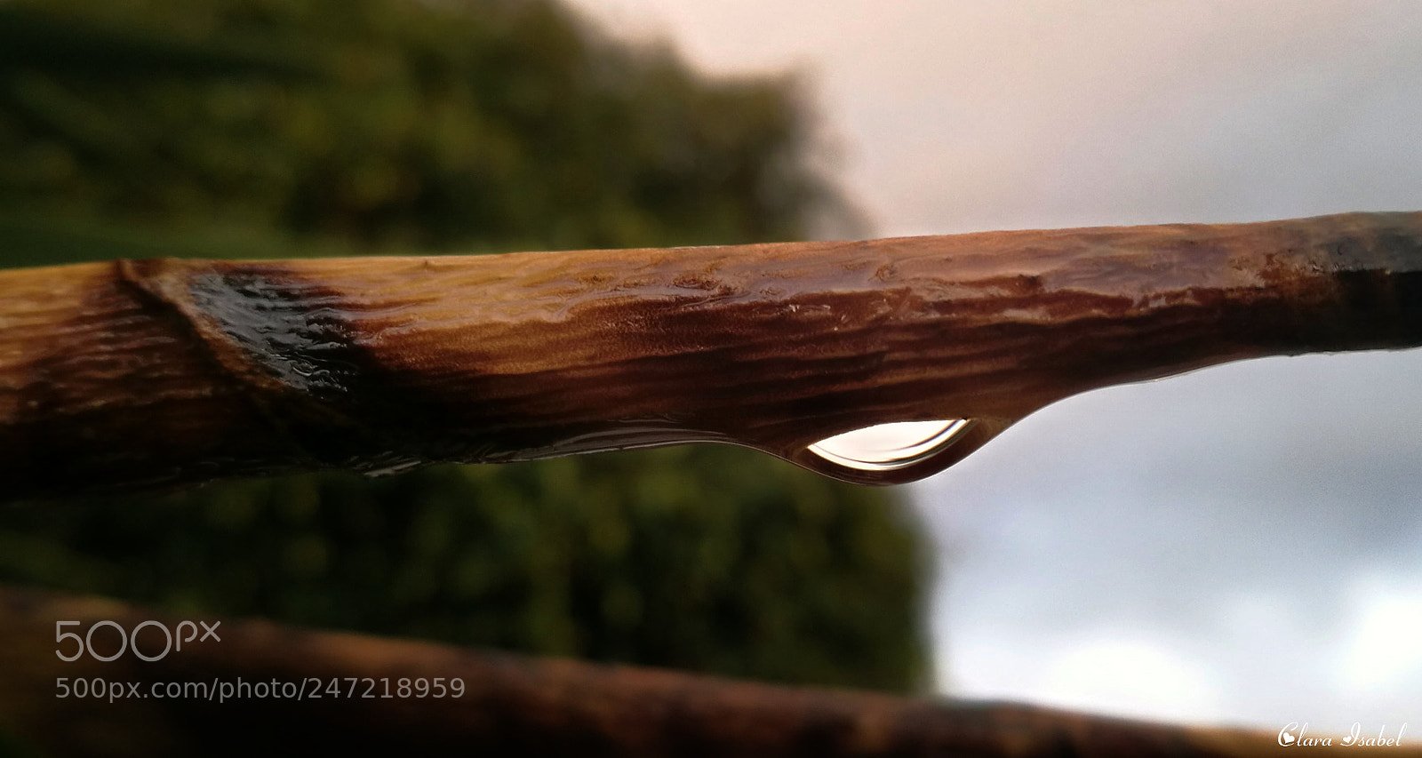 HUAWEI P9 Plus sample photo. Gotas de agua que photography