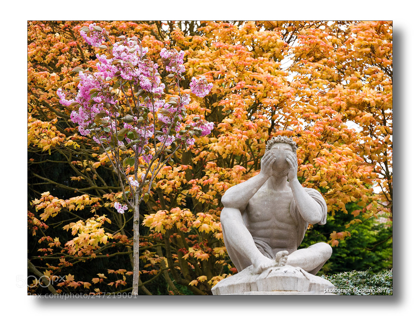 Panasonic Lumix DMC-GX8 sample photo. Oblivious to springtime. photography