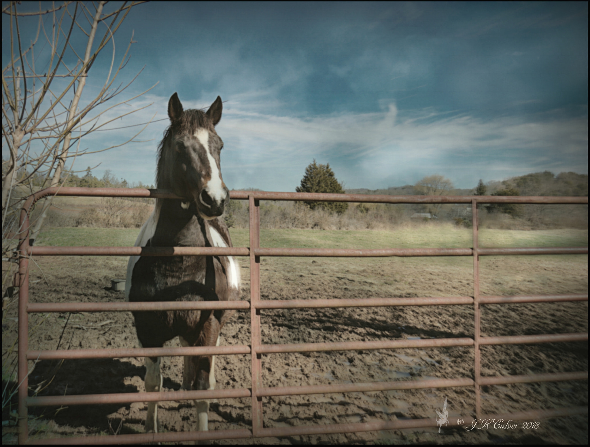 Canon EOS 77D (EOS 9000D / EOS 770D) sample photo. My buddy photography