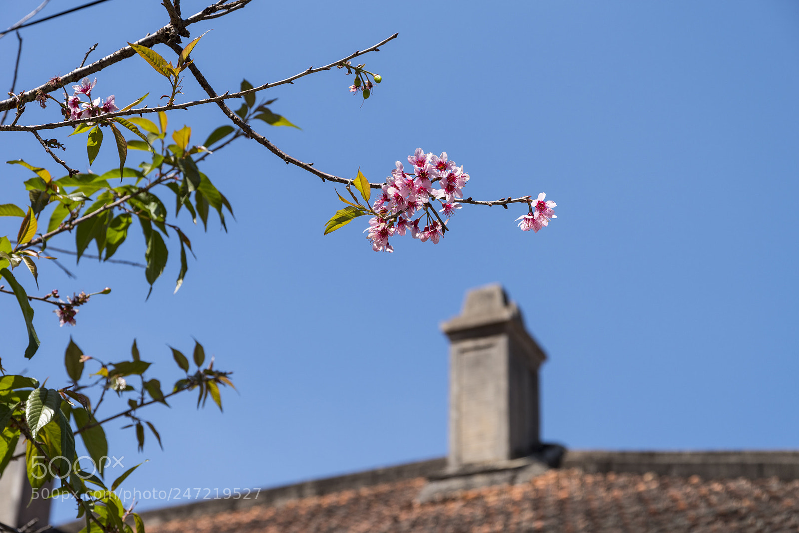Pentax K-1 sample photo. Aa photography