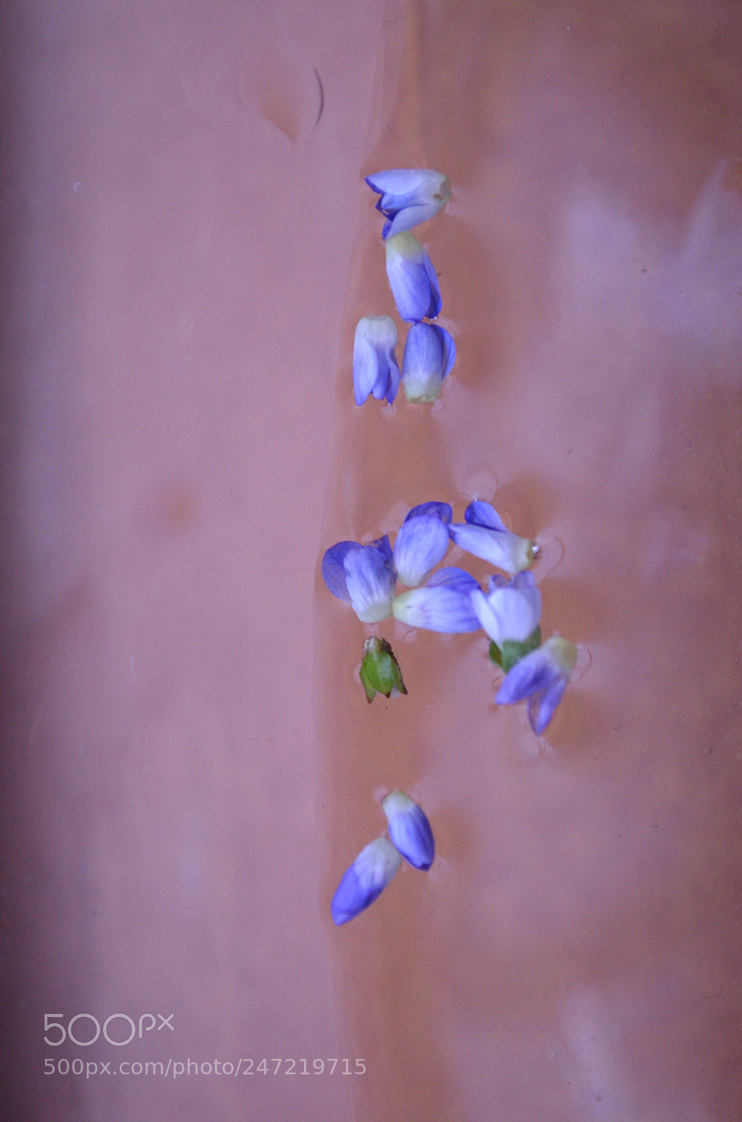 Nikon D5100 sample photo. Ring my bell photography