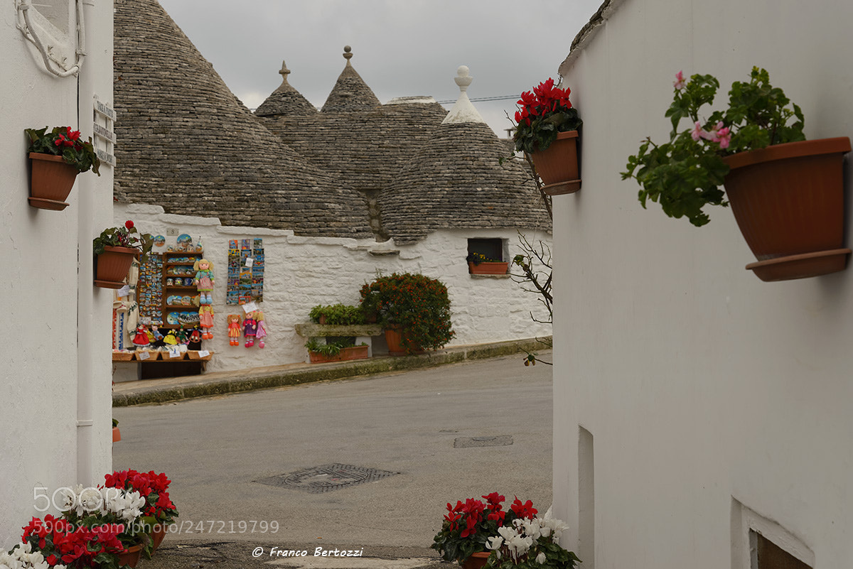 Nikon D610 sample photo. Alberobello trulli and souvenirs photography