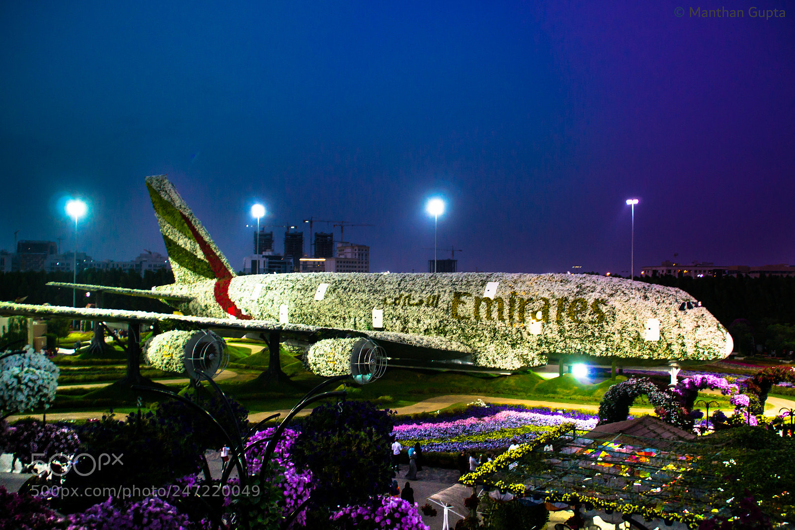 Nikon D3100 sample photo. Dubai miracle garden photography