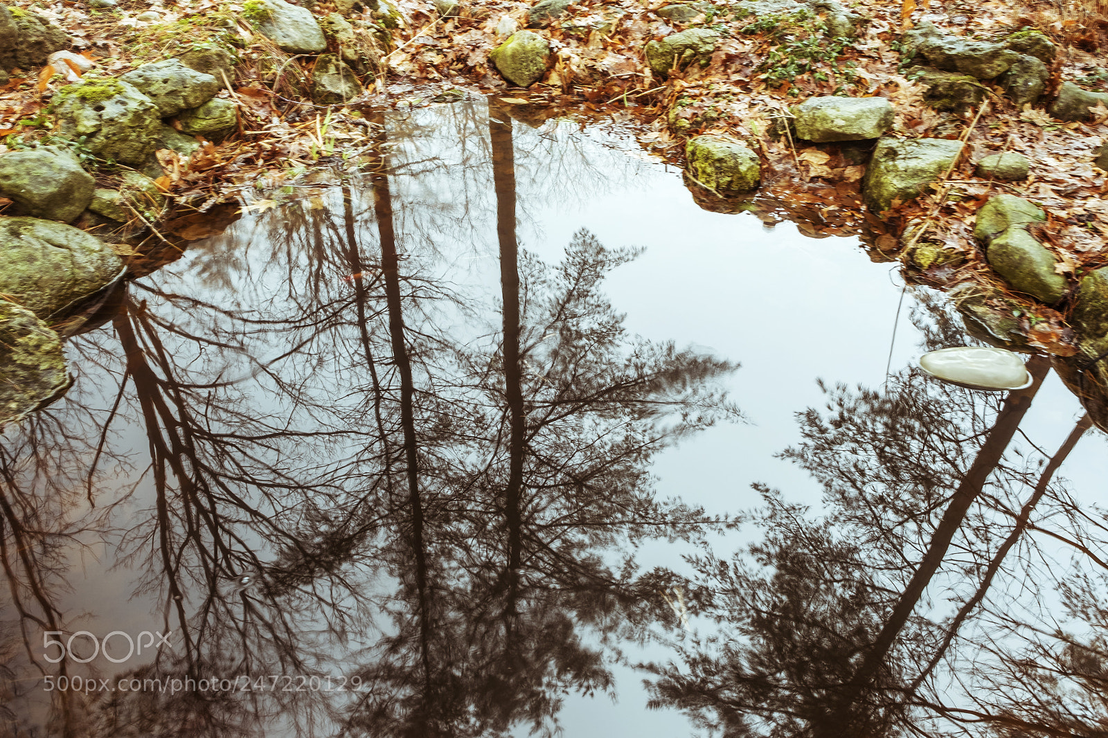 Fujifilm X-T2 sample photo. Fish pond calm photography