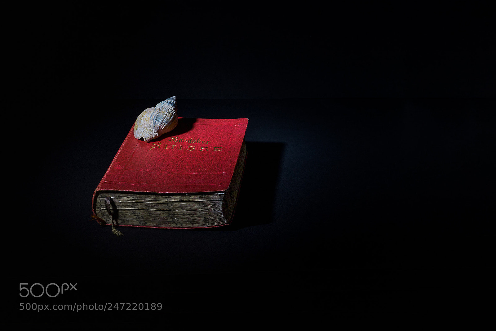 Canon EOS 6D Mark II sample photo. Suisse photography