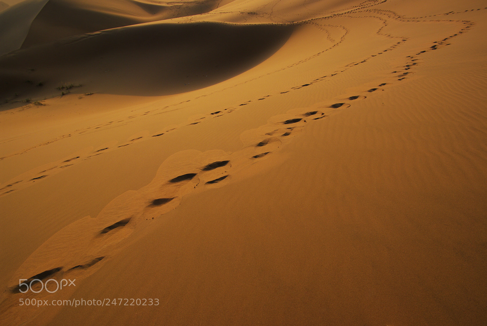 Pentax K20D sample photo. Footprint photography