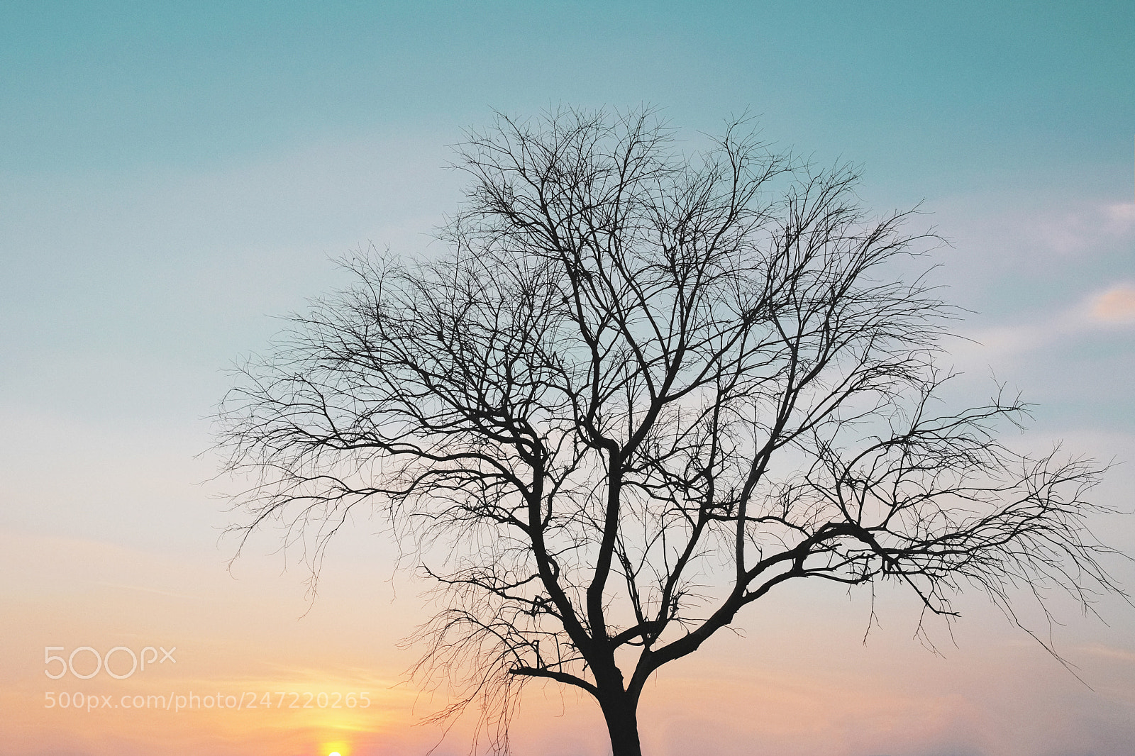 Fujifilm X-Pro2 sample photo. Copy photography