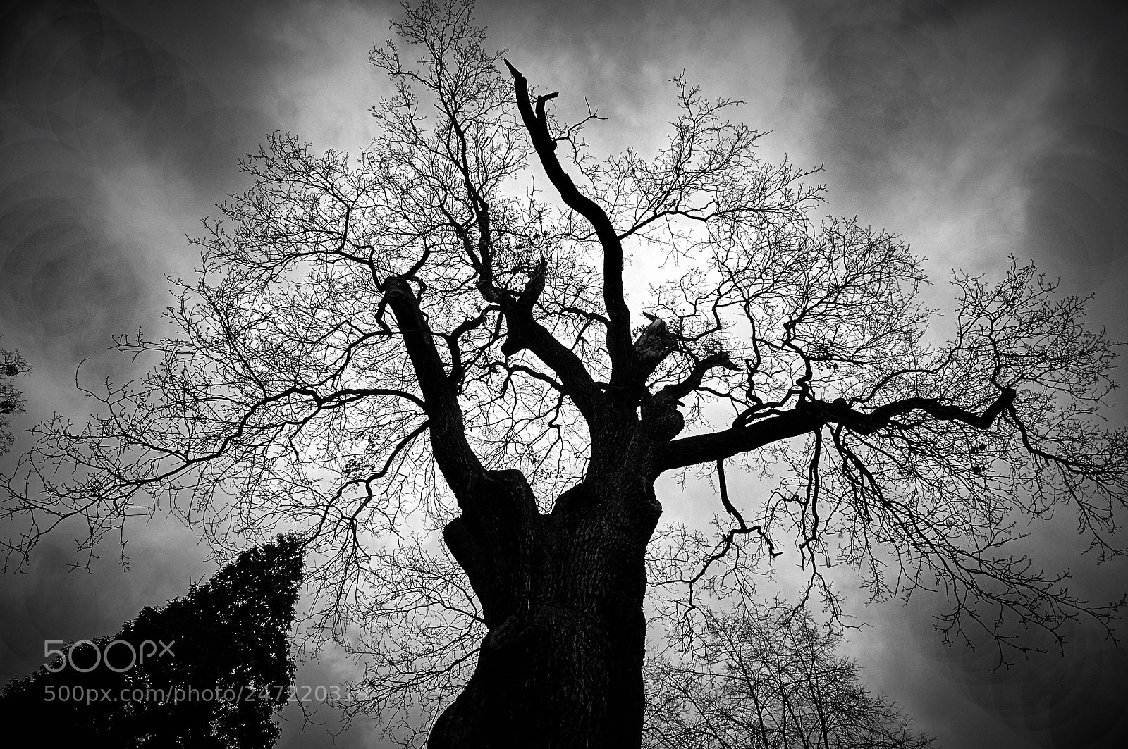 Nikon D300S sample photo. Cielo photography