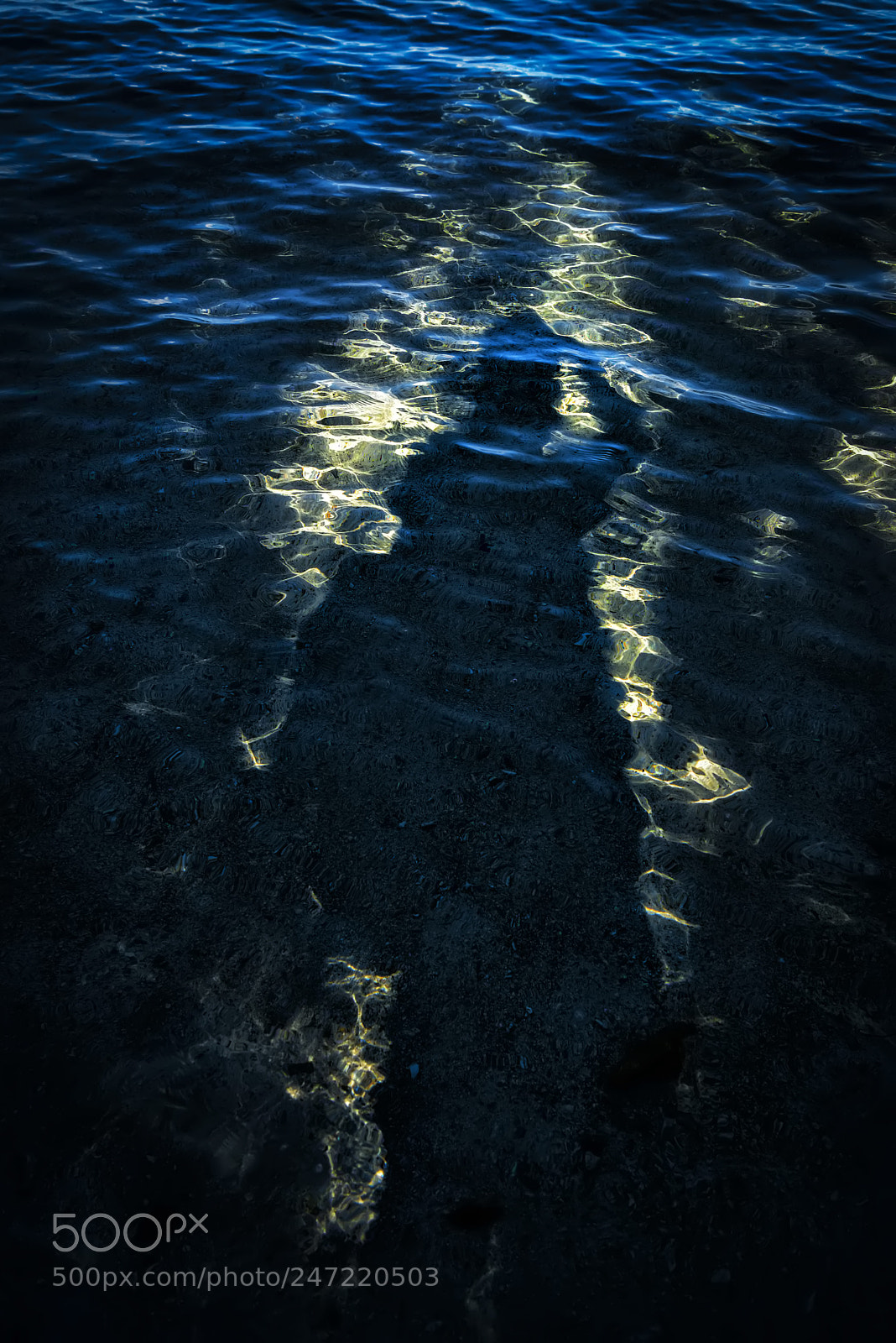 Nikon D810 sample photo. Shadow photography