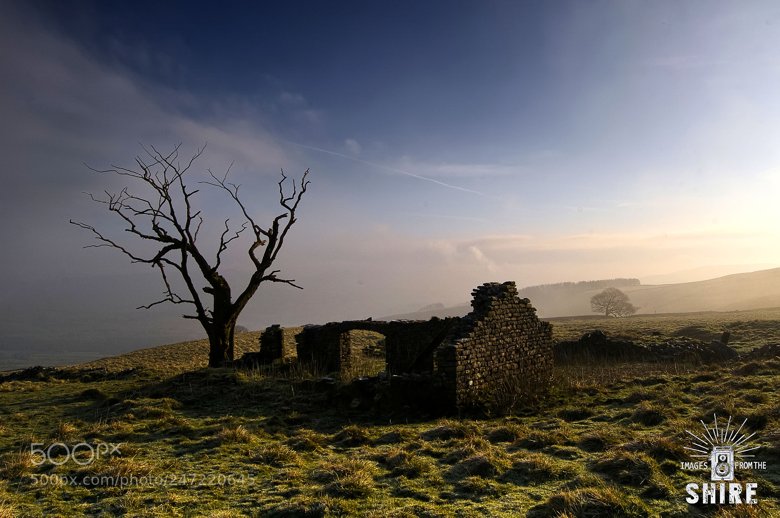 Nikon D300 sample photo. Dead tree and dead photography