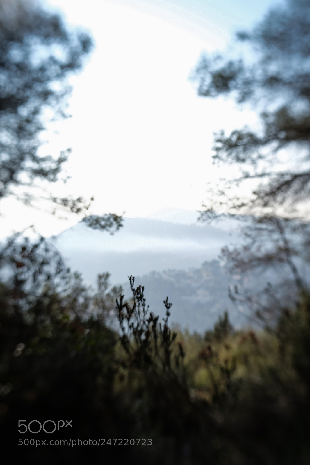 Fujifilm X-T10 sample photo. Untitled photography