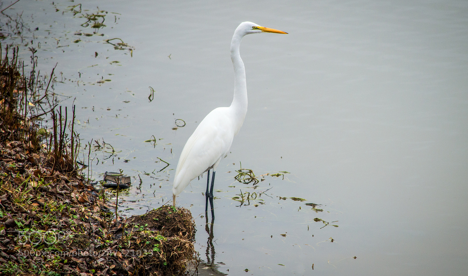 Nikon D3200 sample photo. Statuesque photography