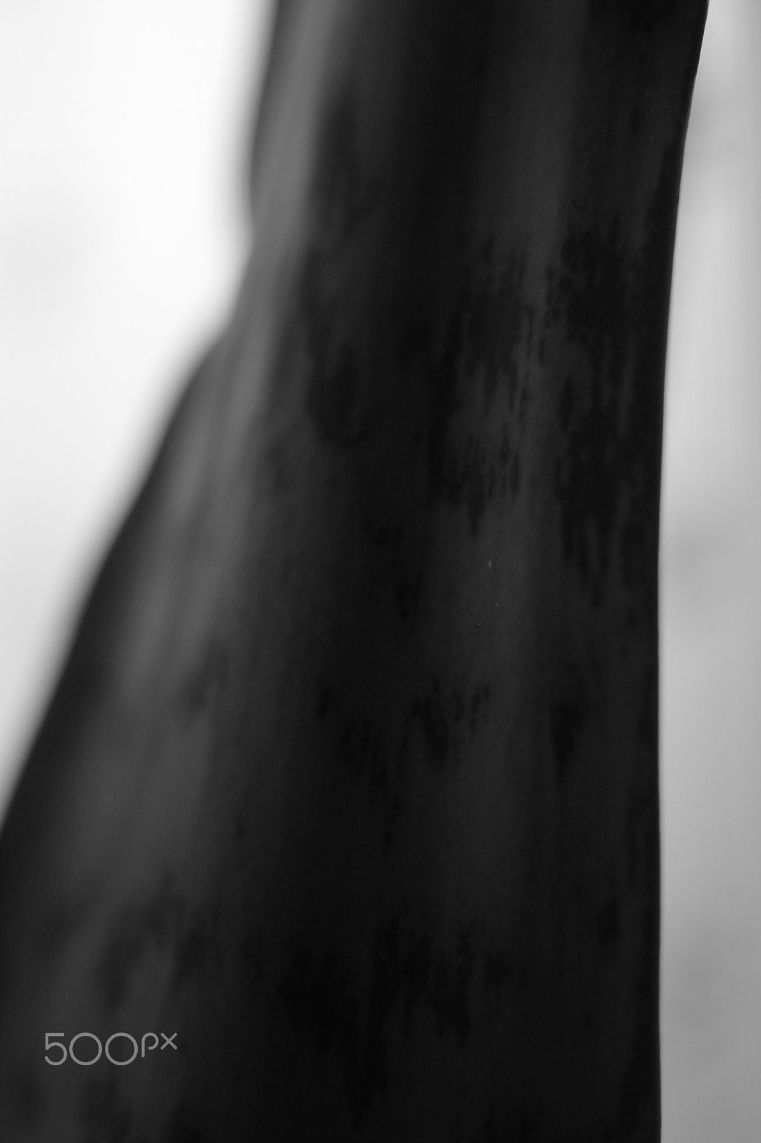 Canon EF 35-80mm f/4-5.6 sample photo. For m photography