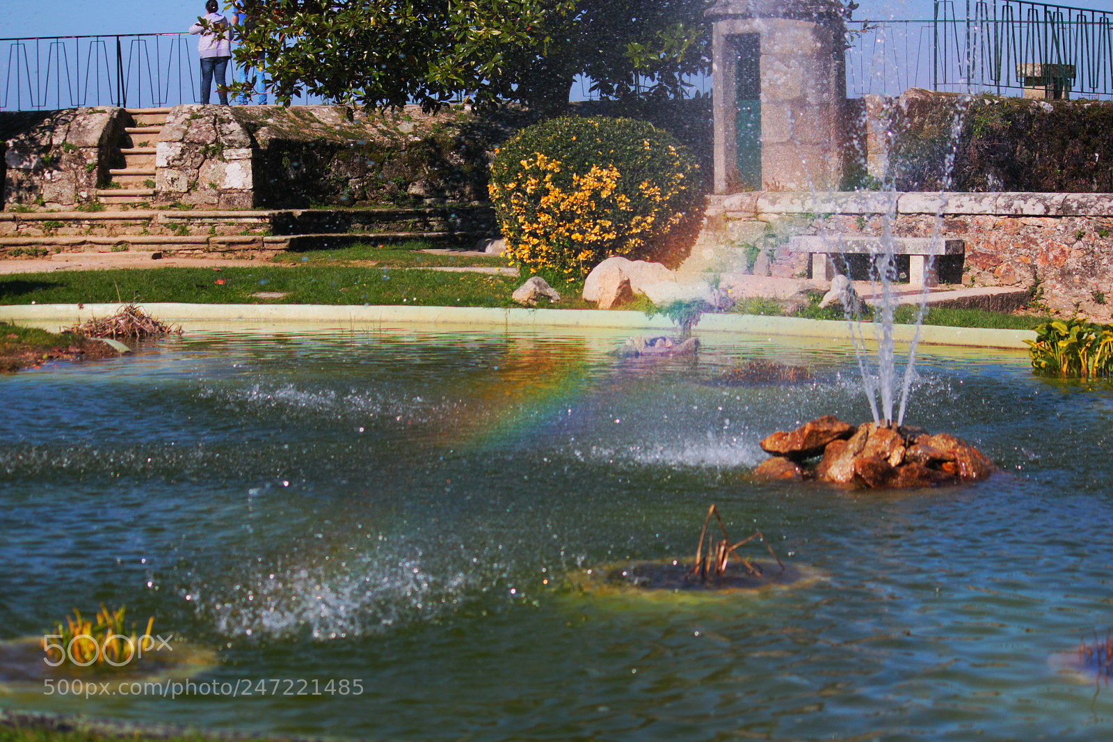 Canon EOS 500D (EOS Rebel T1i / EOS Kiss X3) sample photo. Rainbow photography