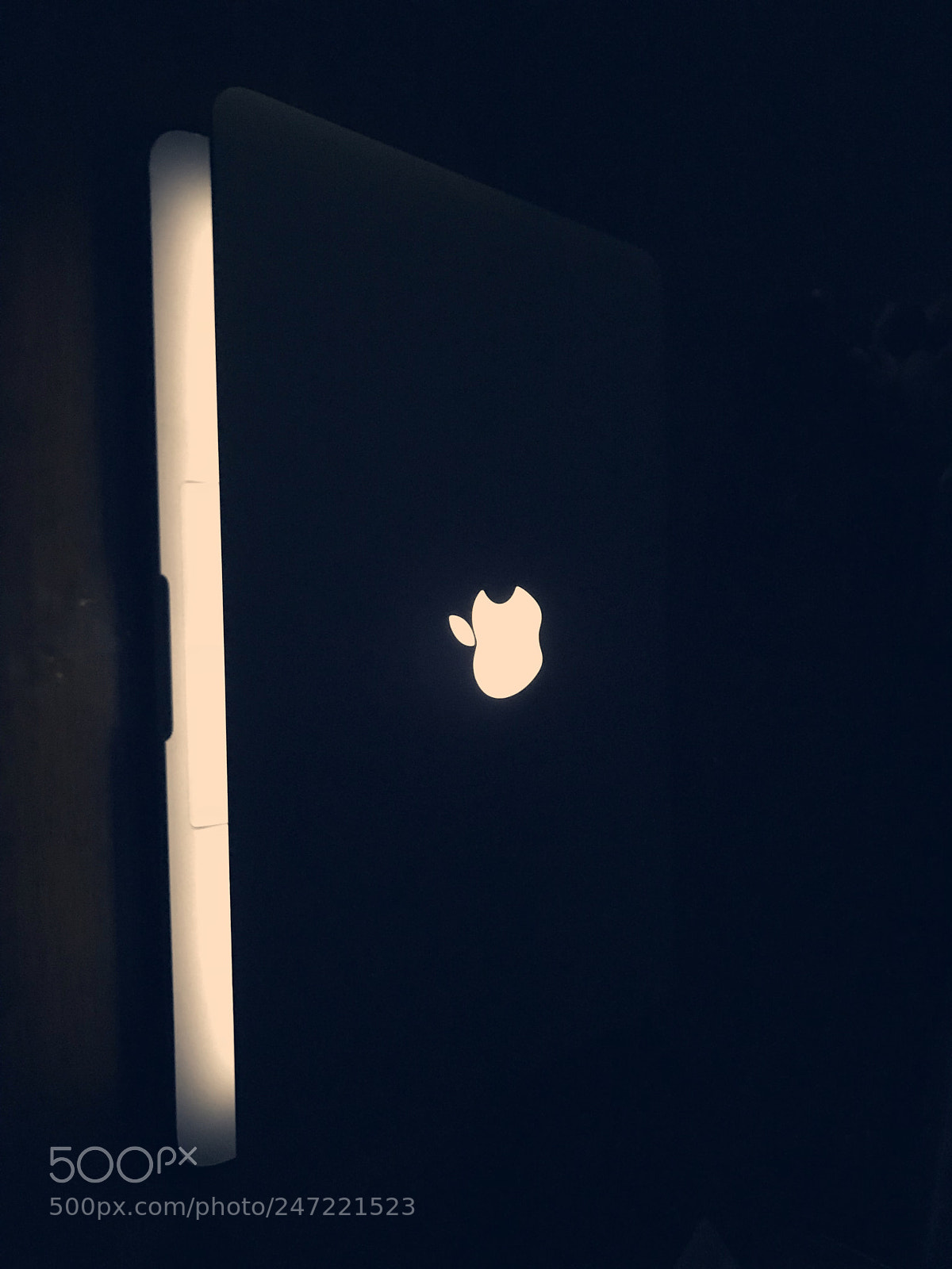 Apple iPhone 7 Plus sample photo. Untitled photography