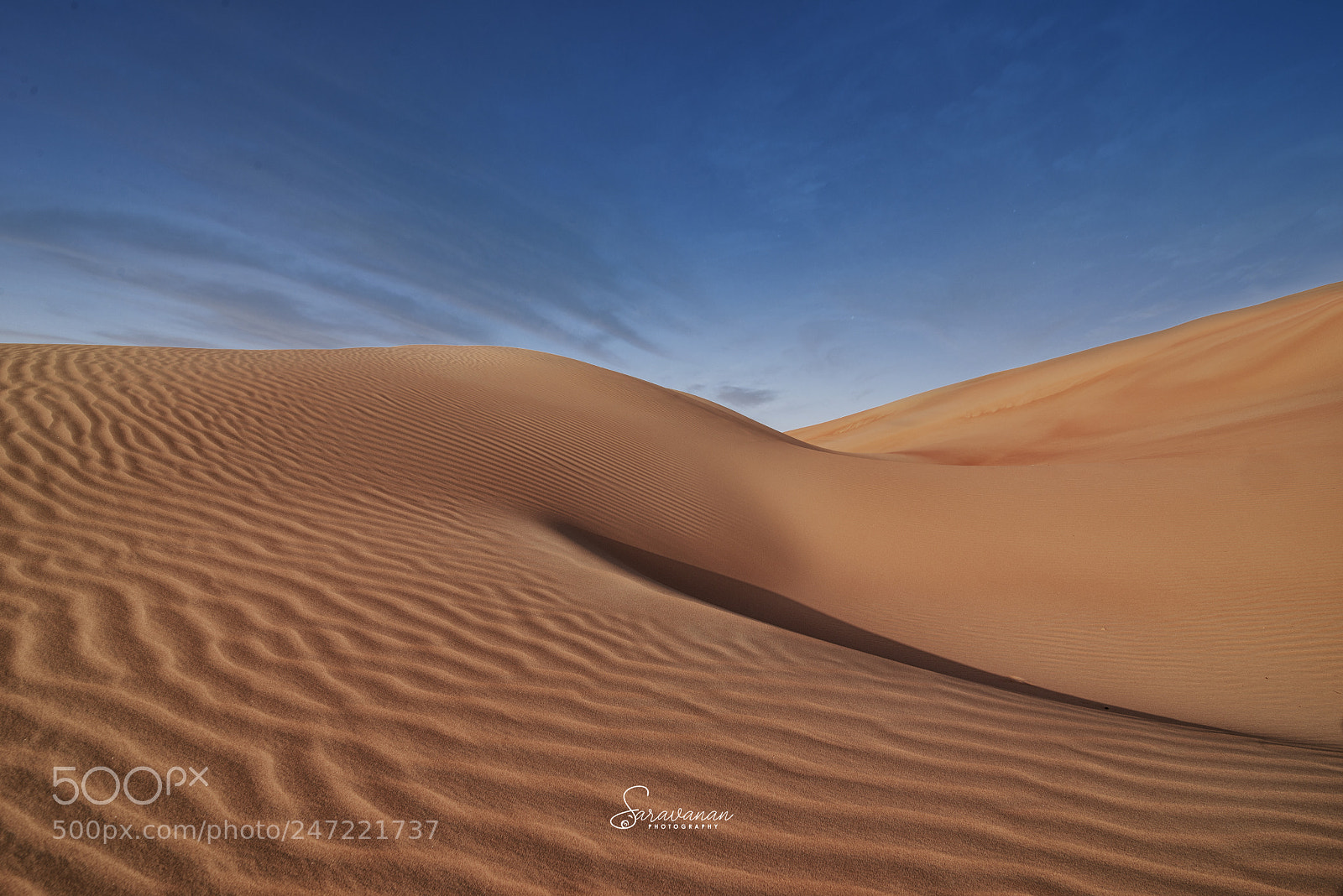 Nikon D610 sample photo. Liwa desert photography