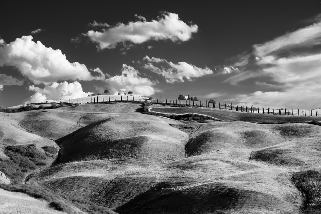 Summer landscape near Asciano by Claudio G. Colombo on 500px.com