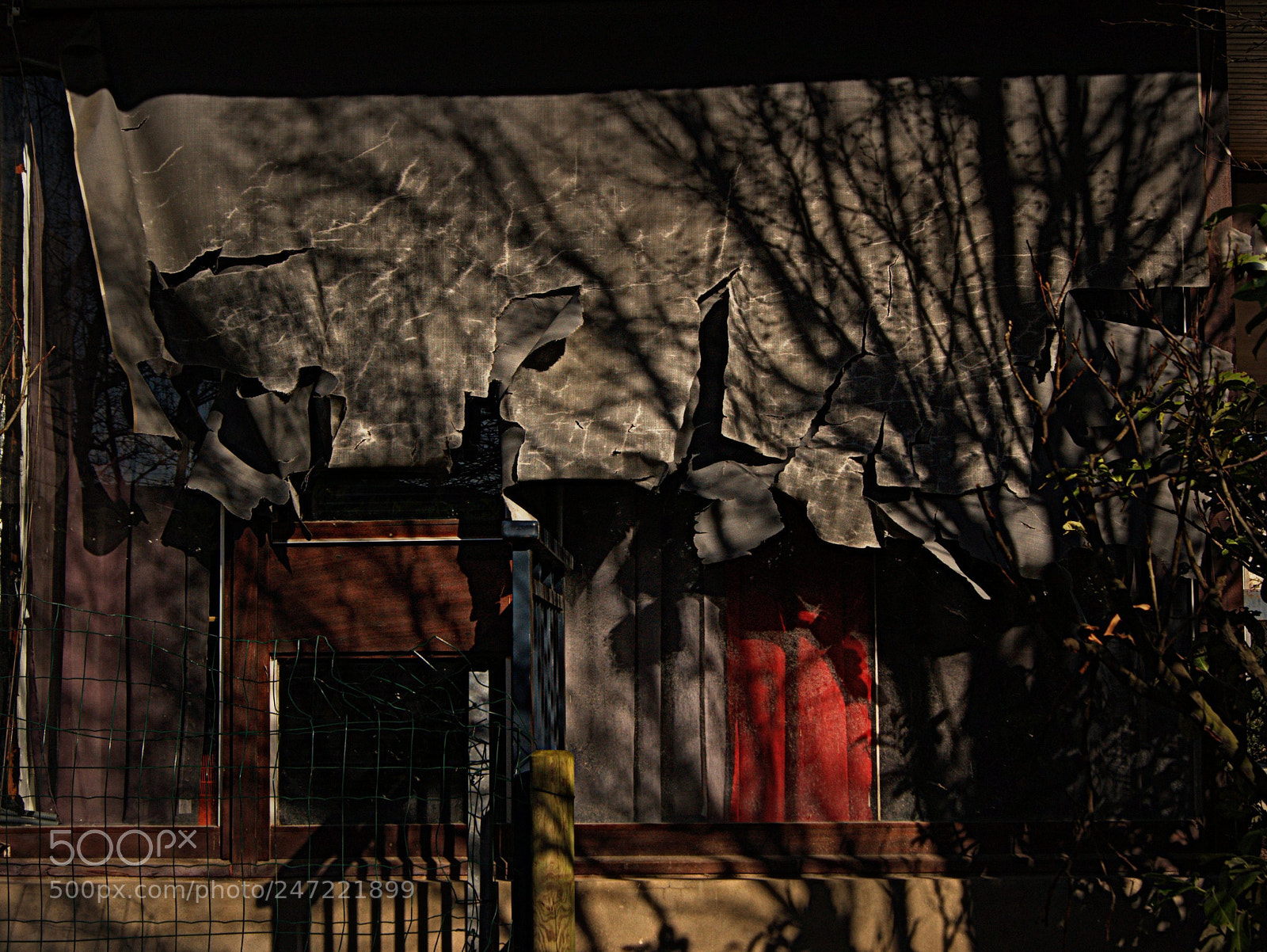Sony Alpha DSLR-A290 sample photo. None photography