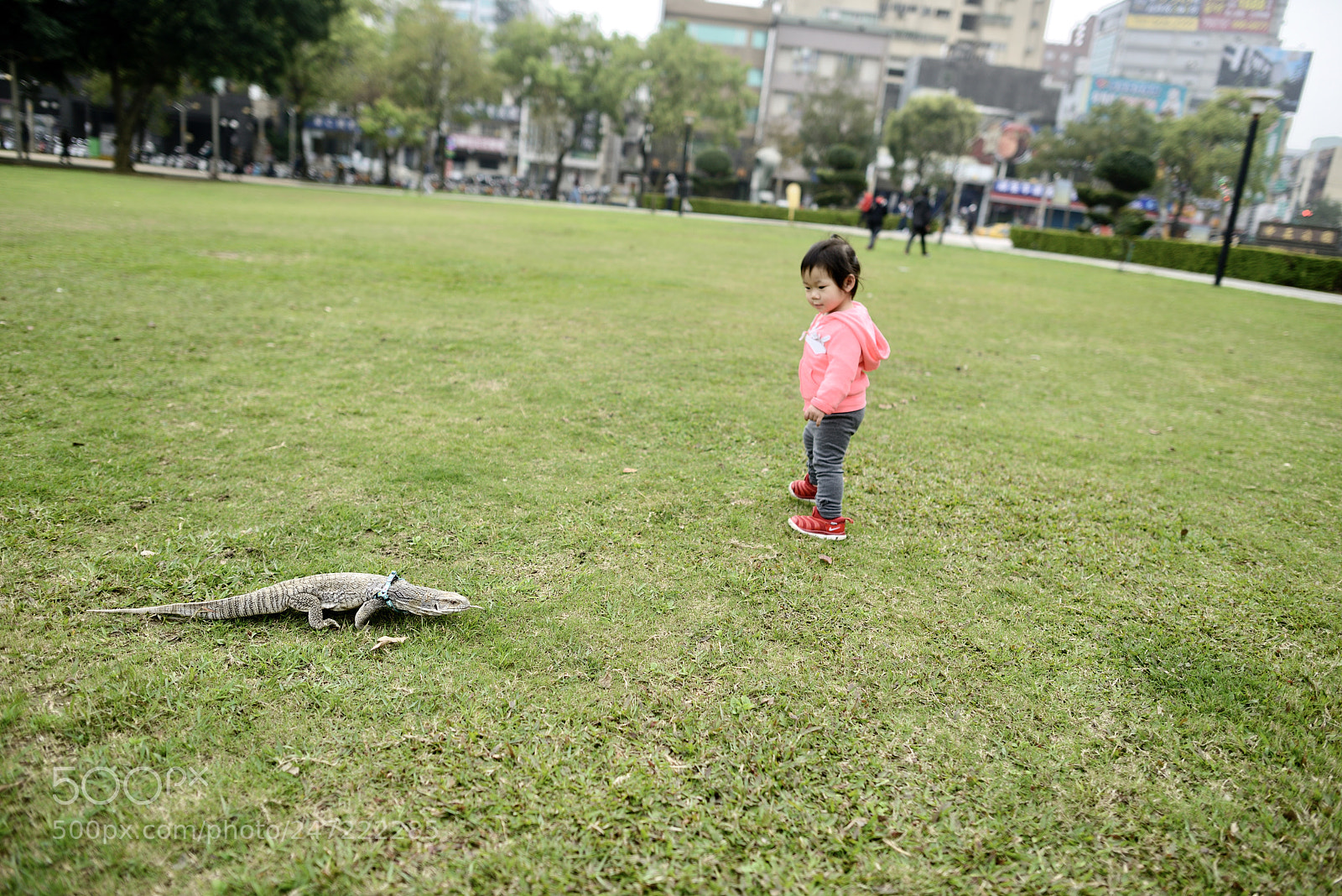 Nikon D800 sample photo. Untitled photography