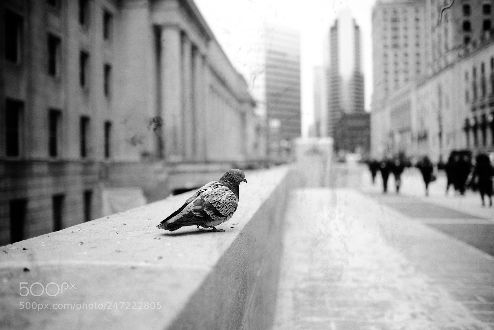 Nikon D600 sample photo. Untitled photography