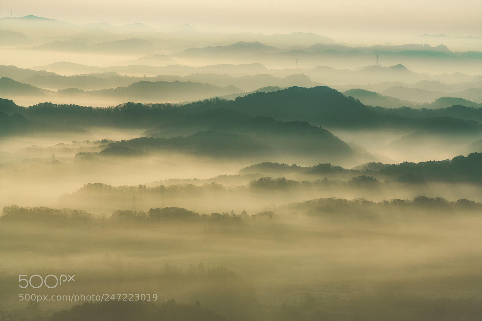 Sony a7R III sample photo. Foggy morning photography