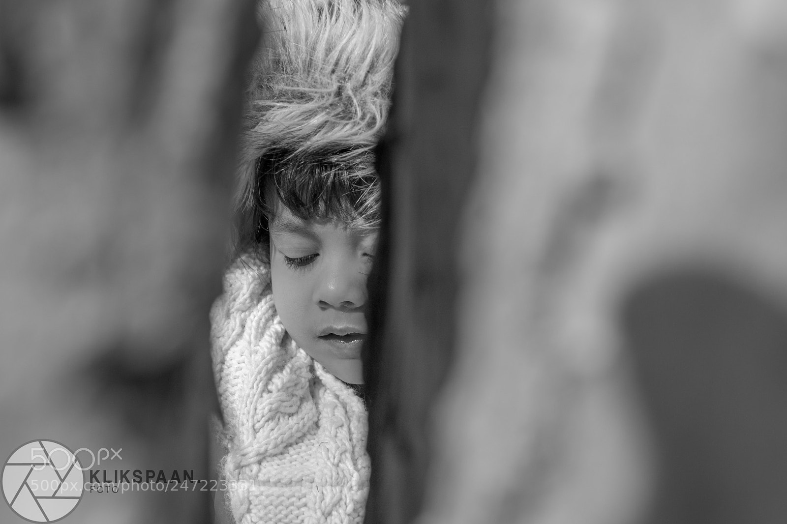 Canon EOS 6D Mark II sample photo. Untitled photography