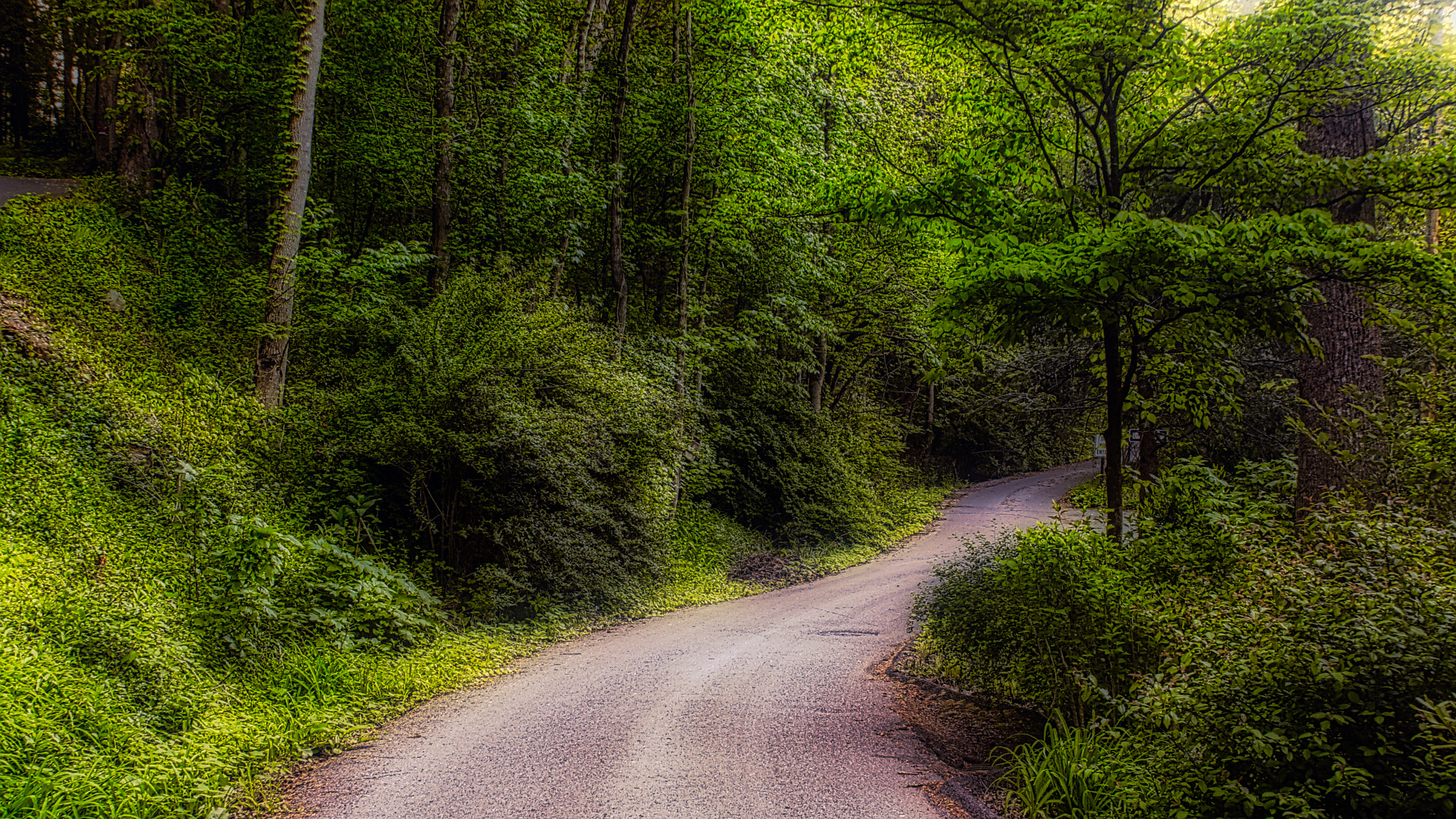 Sony DT 18-70mm F3.5-5.6 sample photo. Spring time in gatlinburg photography