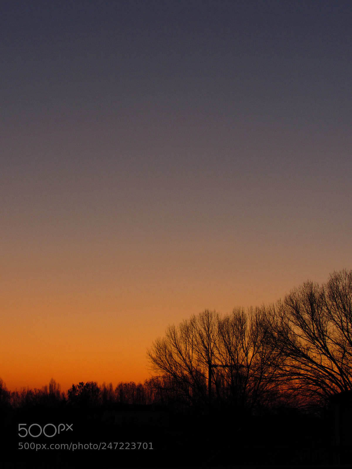 Canon PowerShot SX520 HS sample photo. Sunset in venice photography