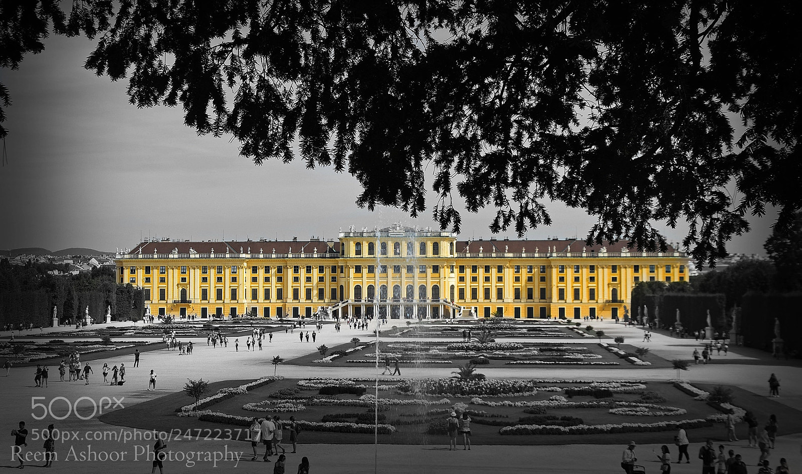 Nikon D810 sample photo. Sch nbrunn palace photography