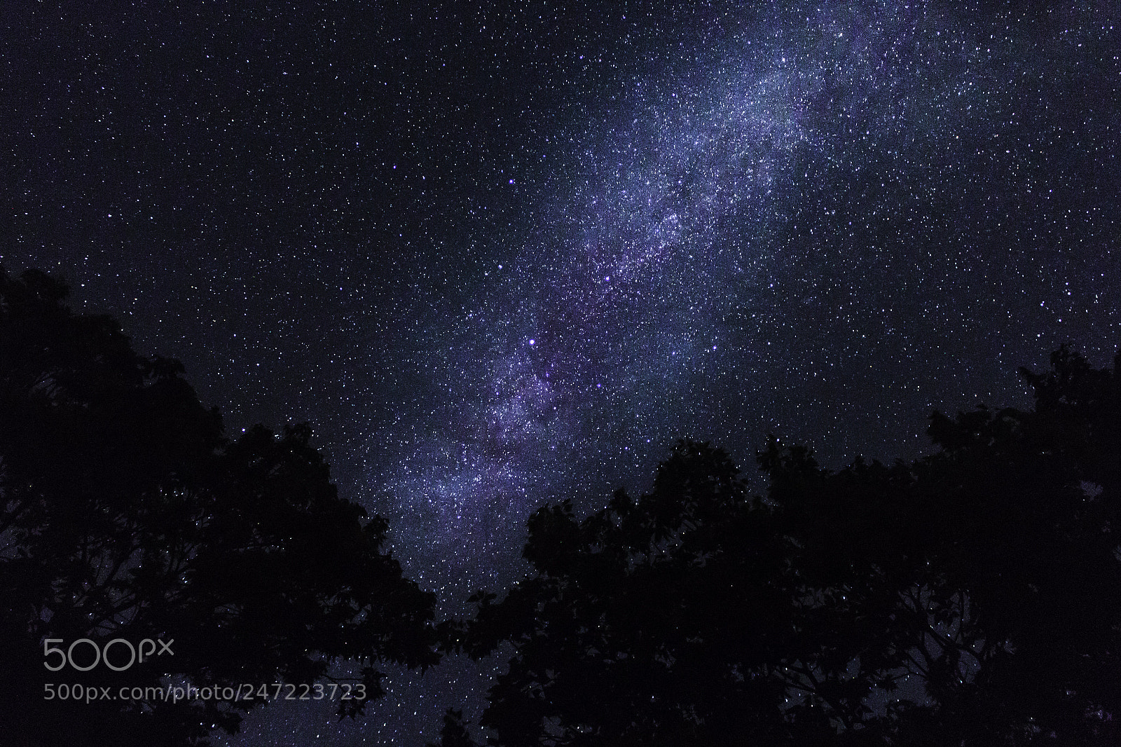 Canon EOS 700D (EOS Rebel T5i / EOS Kiss X7i) sample photo. Milkyway photography