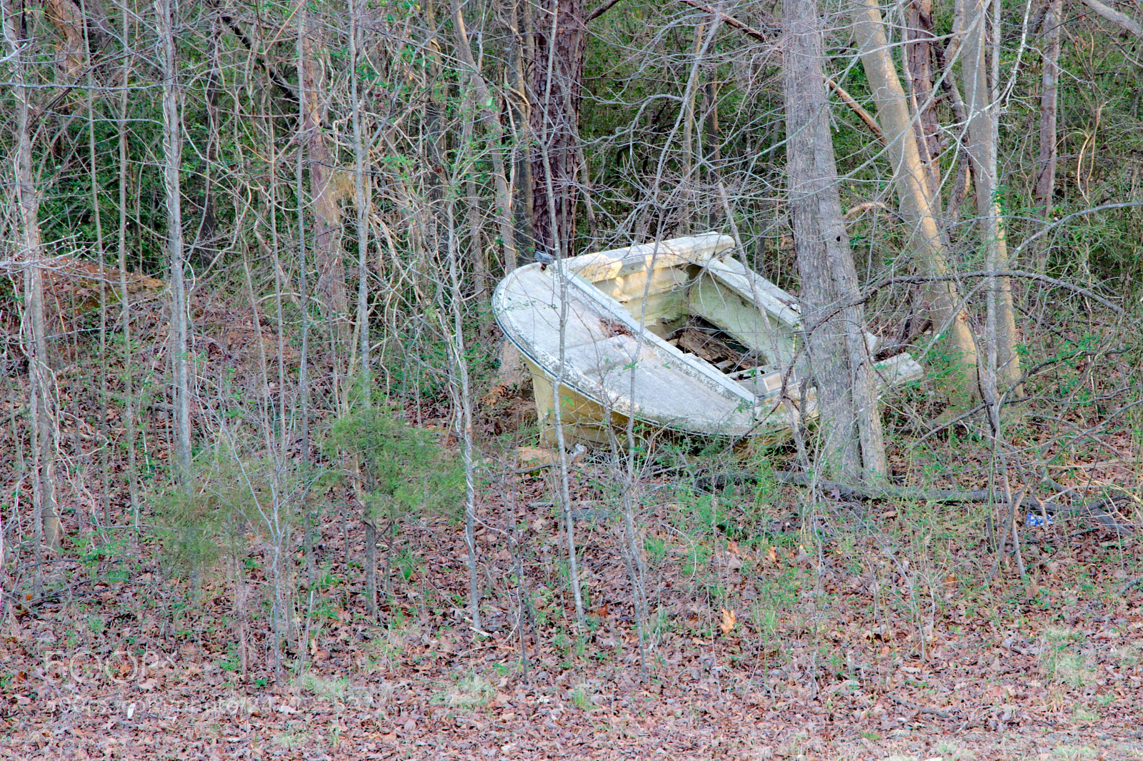 Nikon D5200 sample photo. High & dry photography